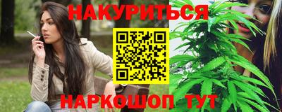 индика Кулебаки