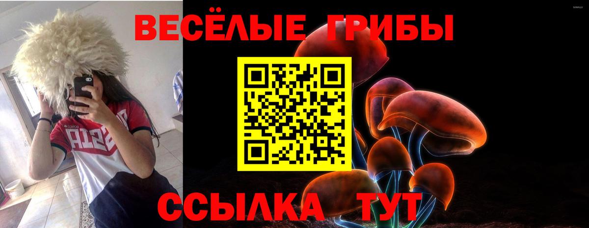Псилоцибиновые грибы ЛСД Калач-на-Дону